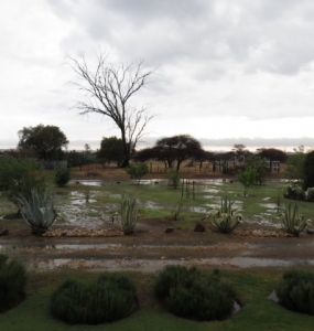 reen op plaas Langkop