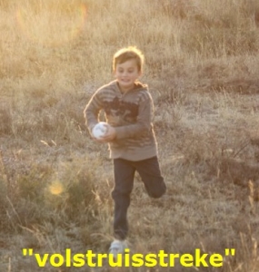 volstruisstreke